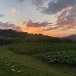 Piero